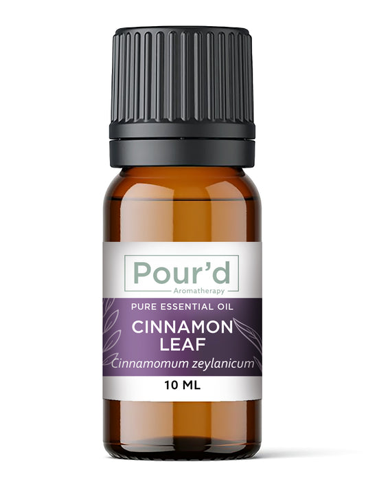Cinnamon Leaf pure essential oil 10ml