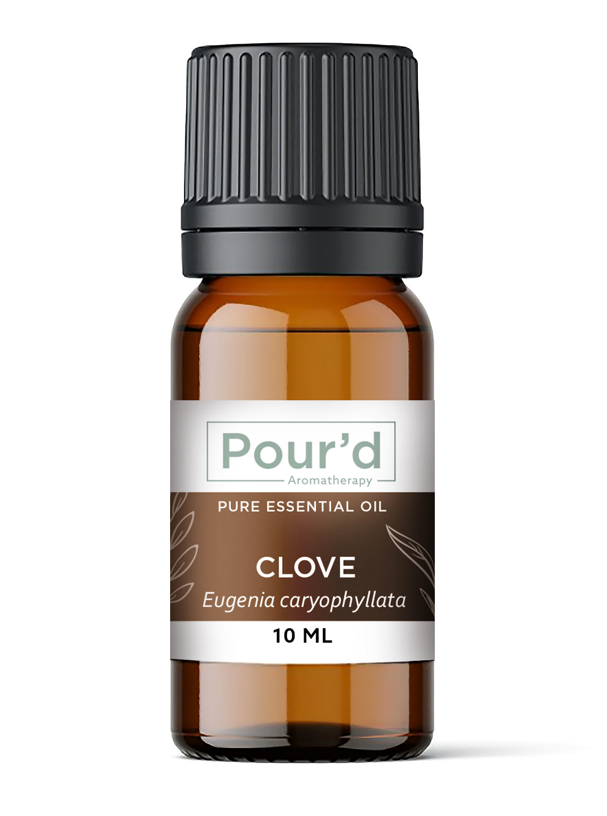 Clove Bud pure essential oil
