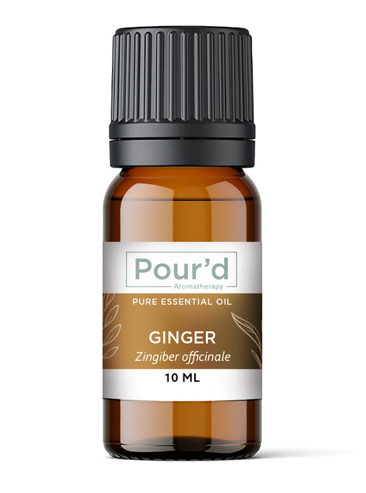 Ginger pure essential oil 10ml