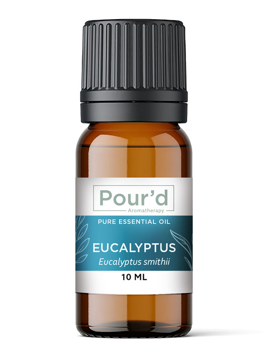 Eucalyptus pure essential oil 10ml